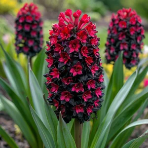 Гиацинт Джем Стоун купить по цене от 2099р. в интернет-магазине «Посадика» с доставкой почтой в в Унечае и по всей России – [изображение №1].