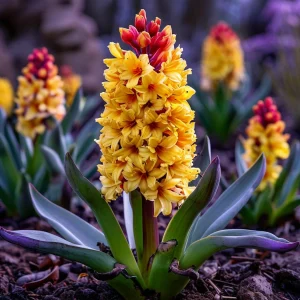 Гиацинт Миднайт Мистери купить по цене от 2099р. в интернет-магазине «Посадика» с доставкой почтой в в Унечае и по всей России – [изображение №1].