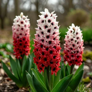 Гиацинт Скай Гарден купить по цене от 2099р. в интернет-магазине «Посадика» с доставкой почтой в в Унечае и по всей России – [изображение №1].